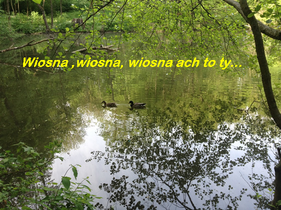Wiosna ,ach toTy
